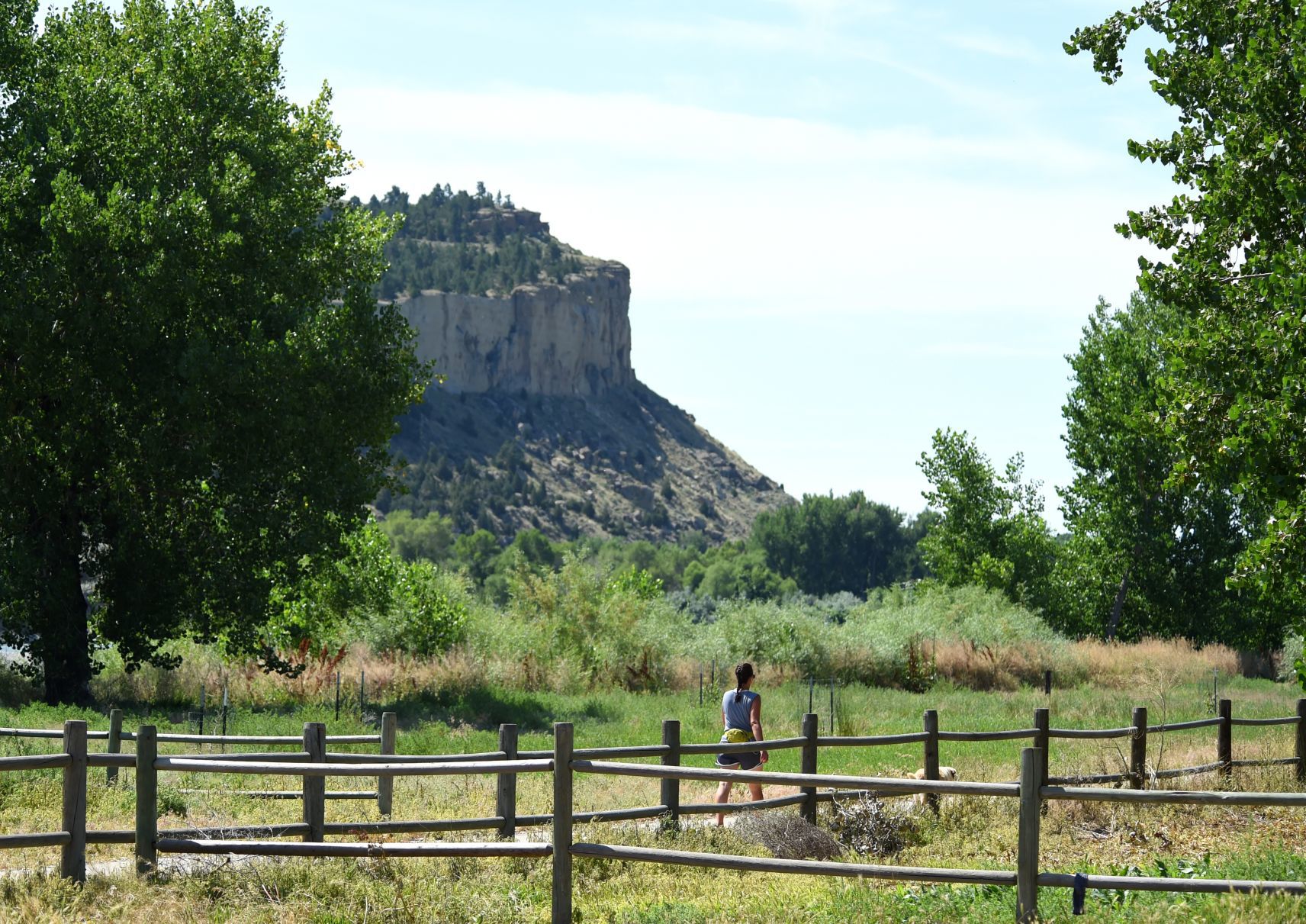 Coulson Park